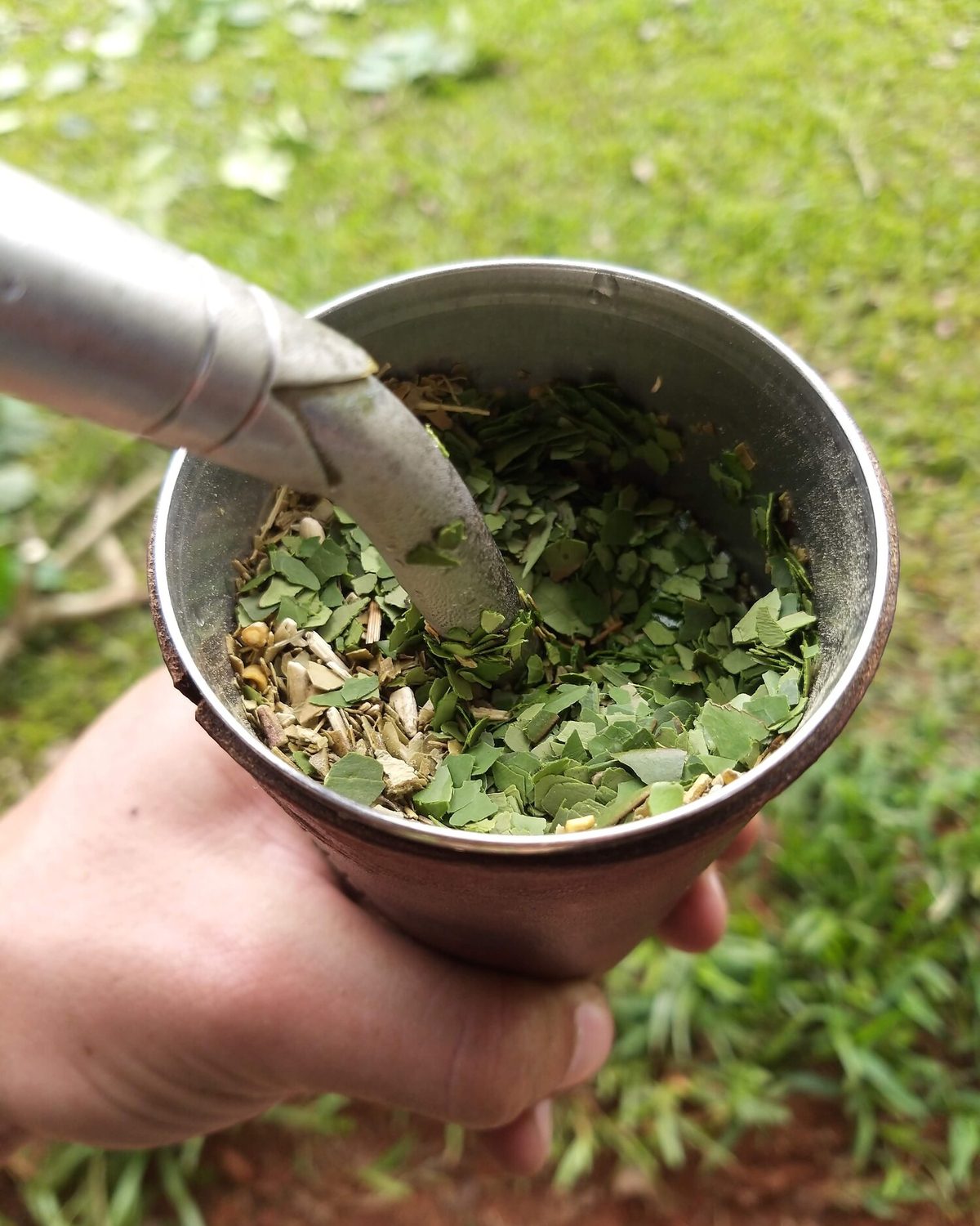 A mate filled in the yerbal — Tavapy II